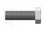 ISO 8676_Śruba z łbem sześciokątnym - 8.8 - BackView